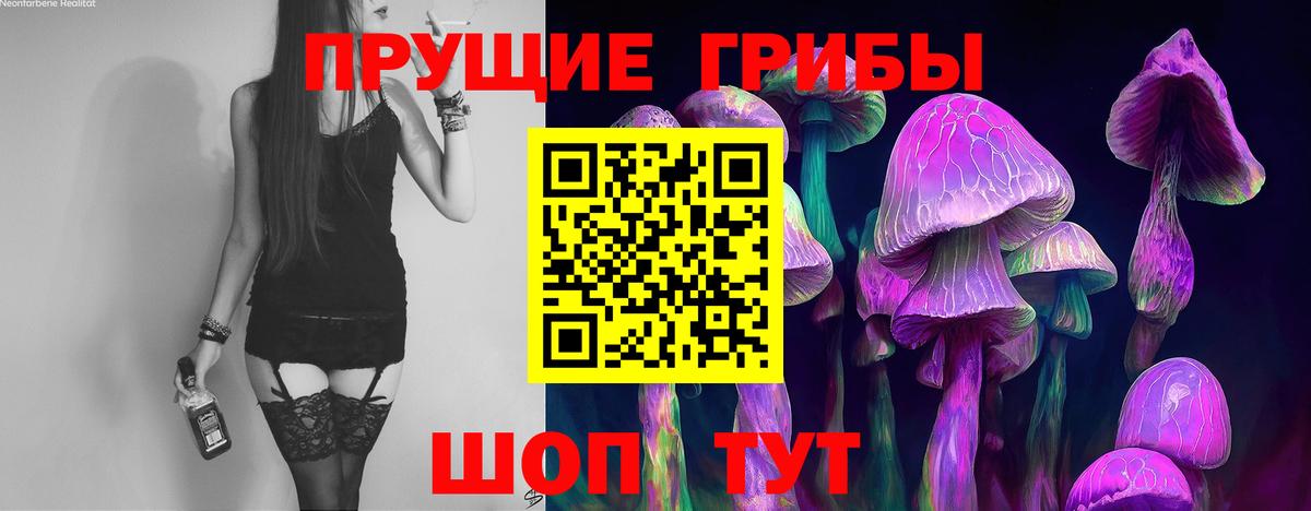 Псилоцибиновые грибы мицелий Скопин