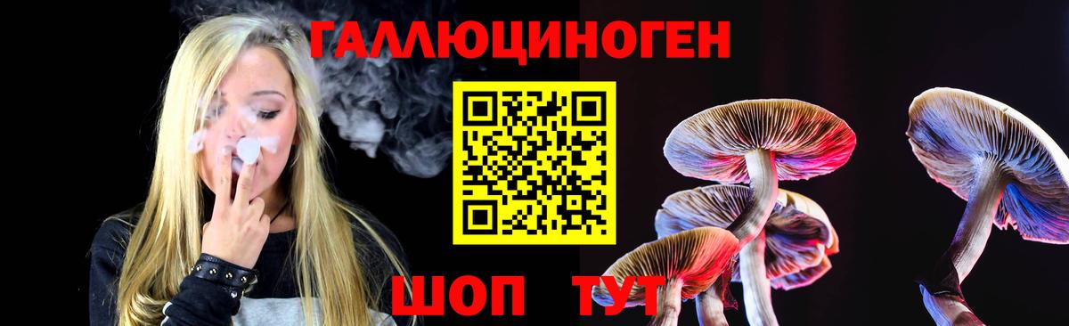 APVP Скопин